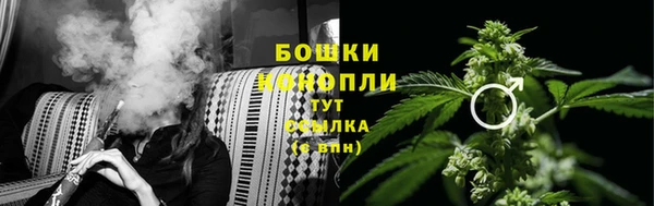 скорость Тайга