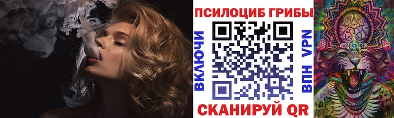 Купить  Зарайск  Псилоцибиновые грибы Psilocybe 