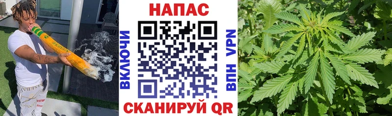Купить где  Зарайск  Конопля гибрид 
